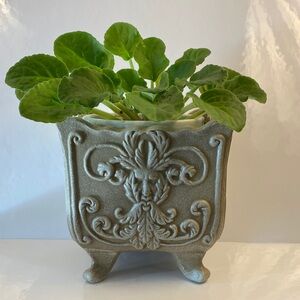 Ornate Greenman Planter 6” tall 6” wide taupe